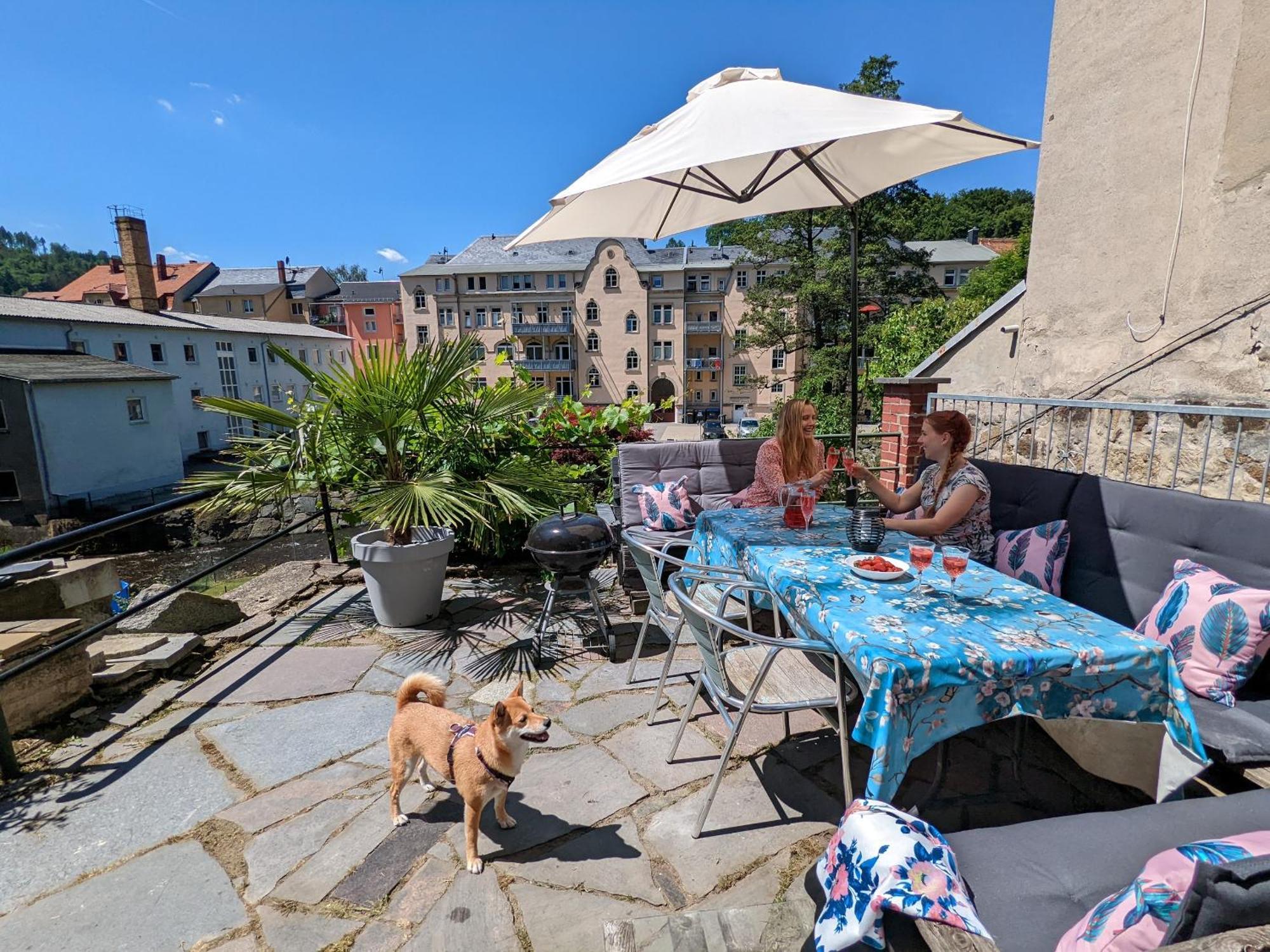 Hw3 - Urlaubsmagie - Helle, Grosse Wohnung Mit Pool Sebnitz Luaran gambar