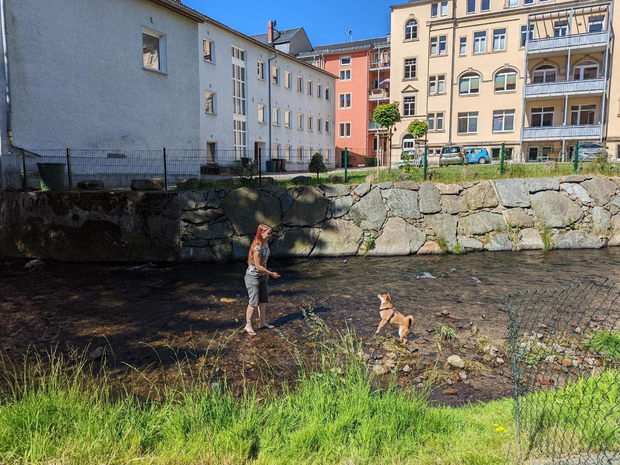 Hw3 - Urlaubsmagie - Helle, Grosse Wohnung Mit Pool Sebnitz Luaran gambar