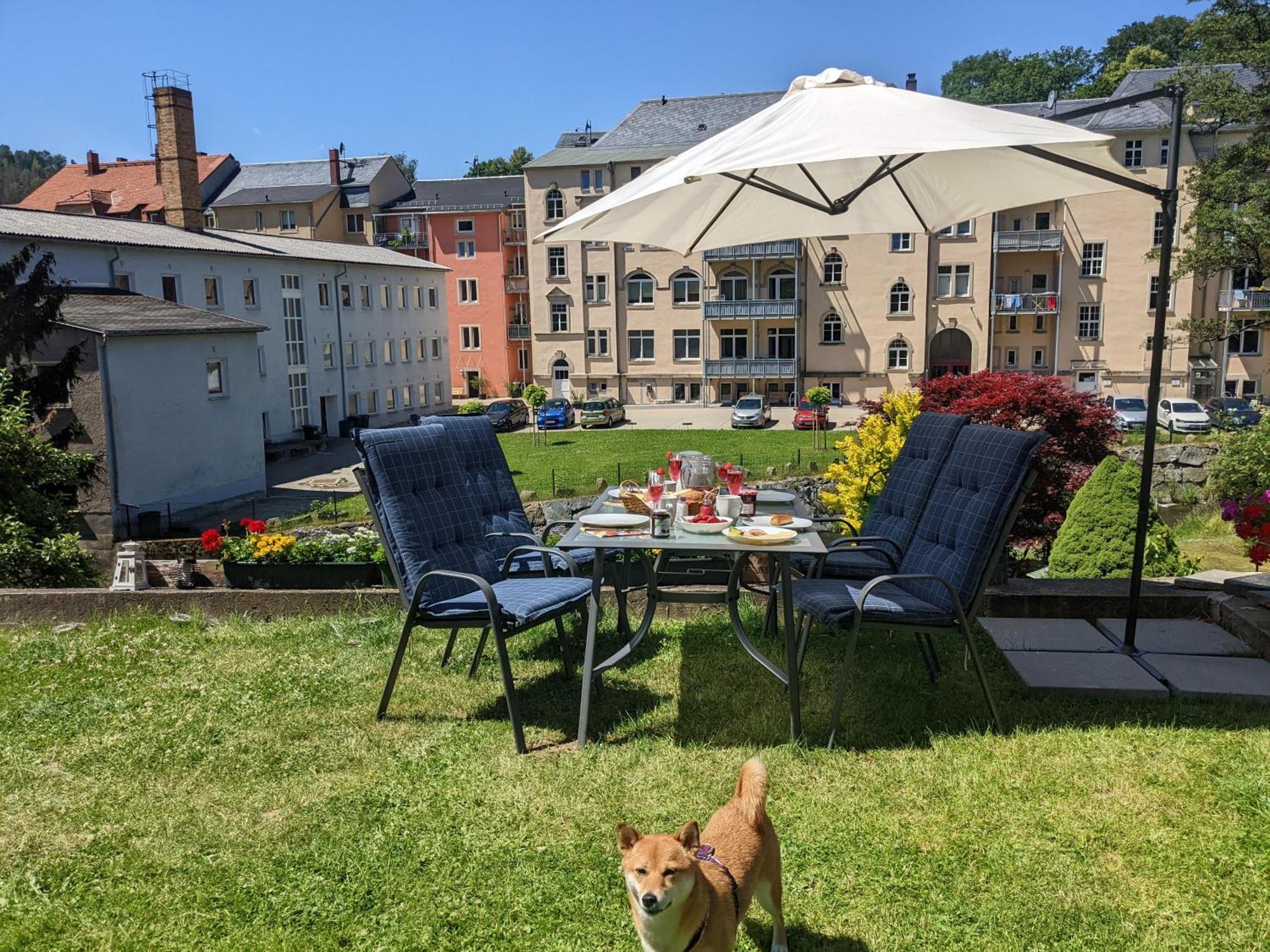 Hw3 - Urlaubsmagie - Helle, Grosse Wohnung Mit Pool Sebnitz Luaran gambar