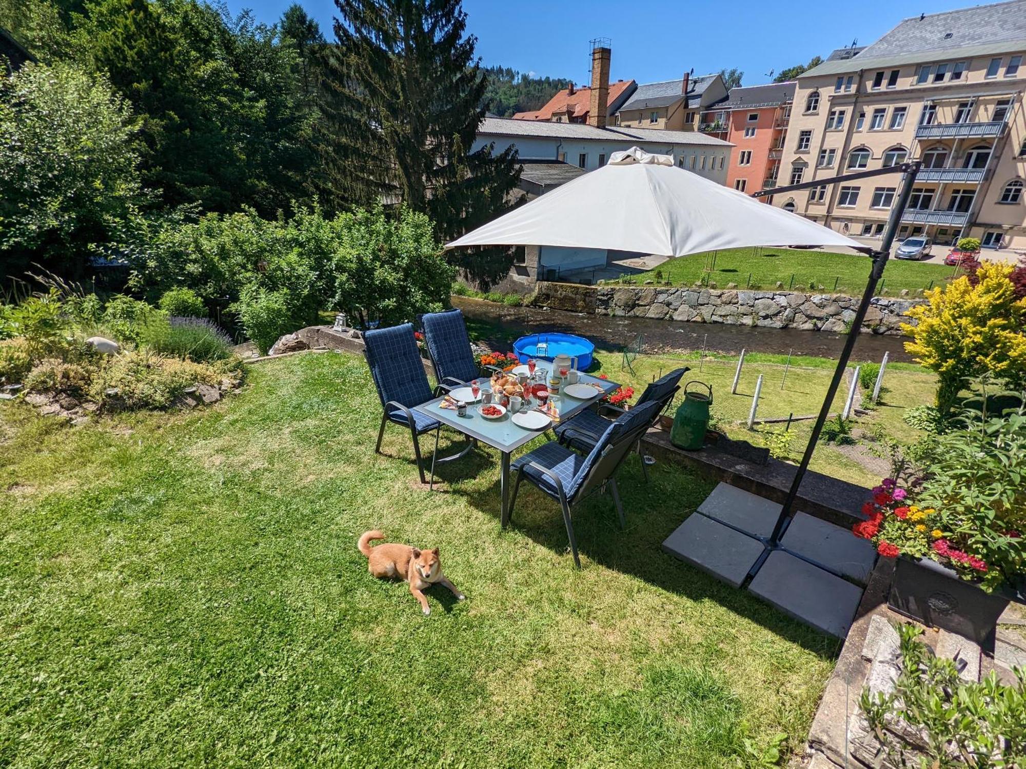 Hw3 - Urlaubsmagie - Helle, Grosse Wohnung Mit Pool Sebnitz Luaran gambar