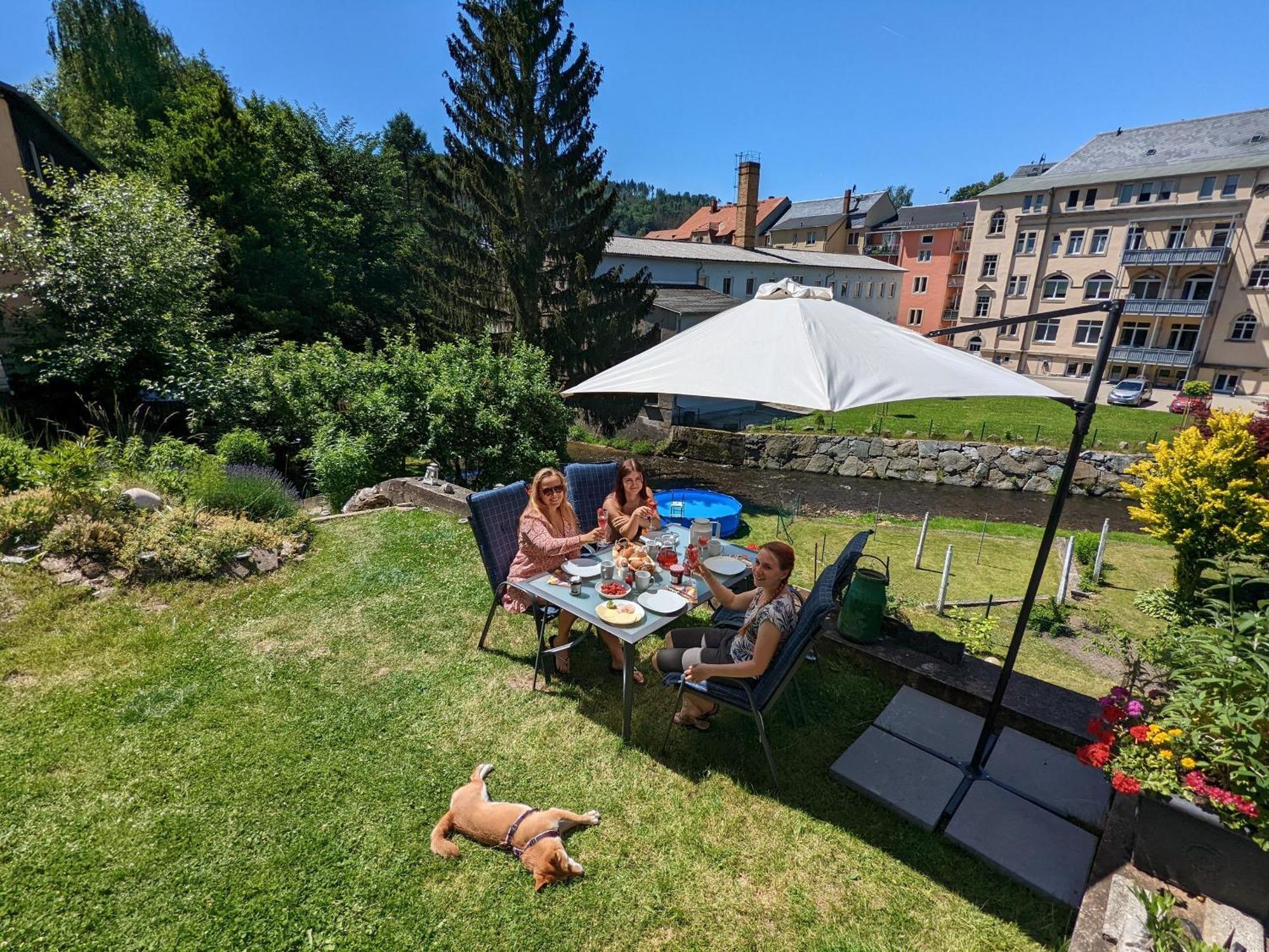 Hw3 - Urlaubsmagie - Helle, Grosse Wohnung Mit Pool Sebnitz Luaran gambar
